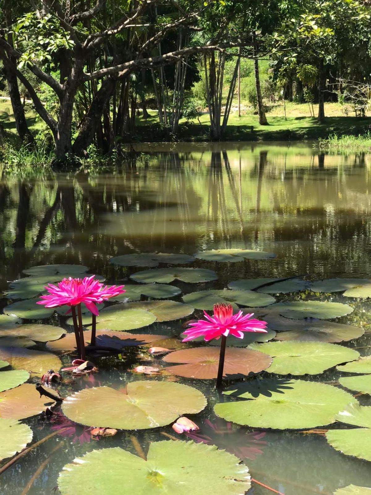 Canto De Roca Turismo E Lazer Mimoso do Sul Exteriör bild