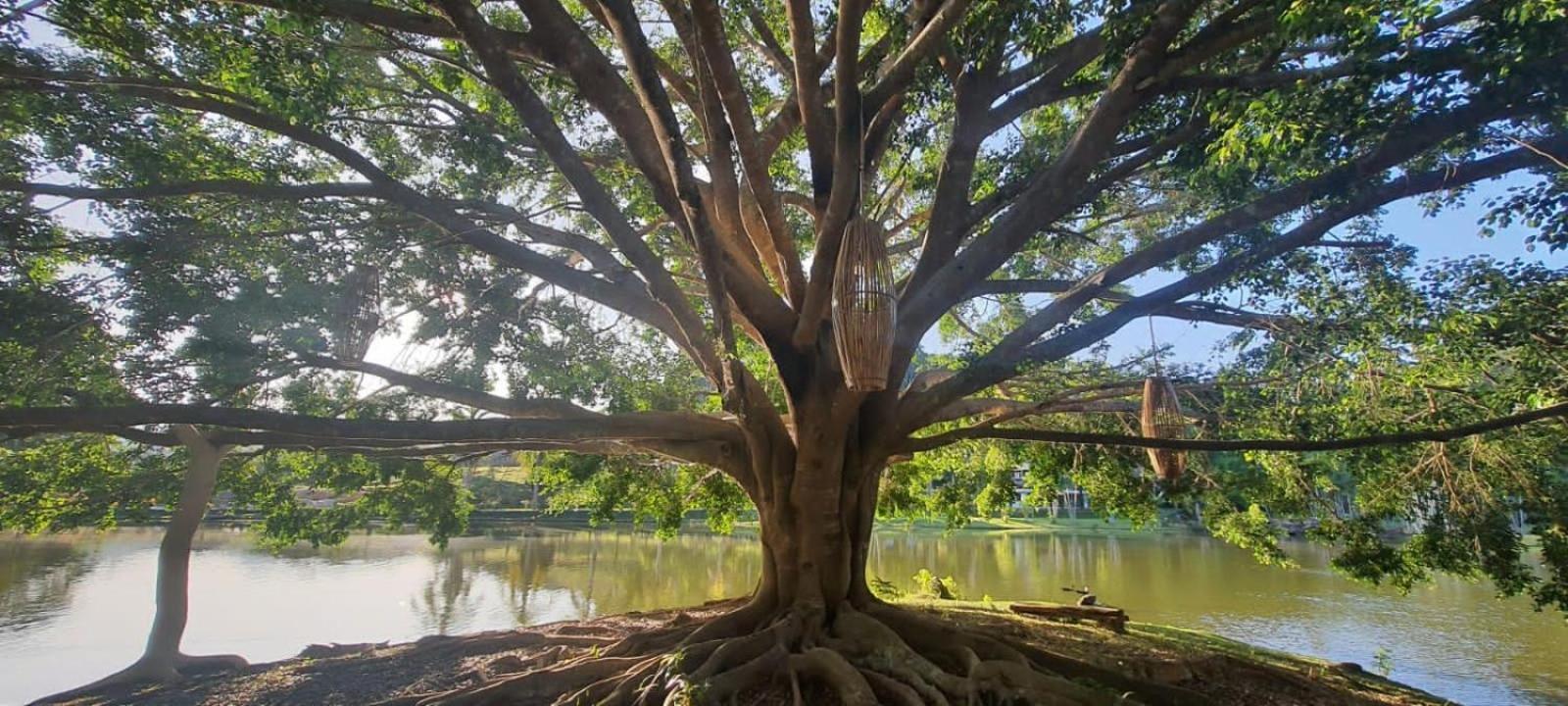Canto De Roca Turismo E Lazer Mimoso do Sul Exteriör bild